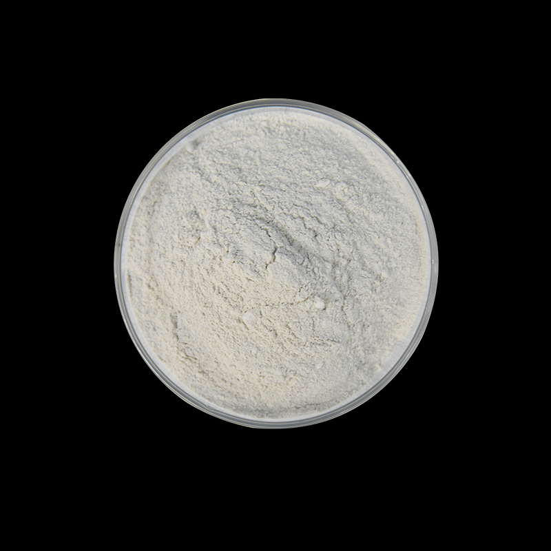 Magnesium Sulphate Monohydrate Powder